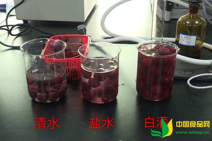 ÷ܷĳ𣿡ʳƷȫ硱Ѱ࣡