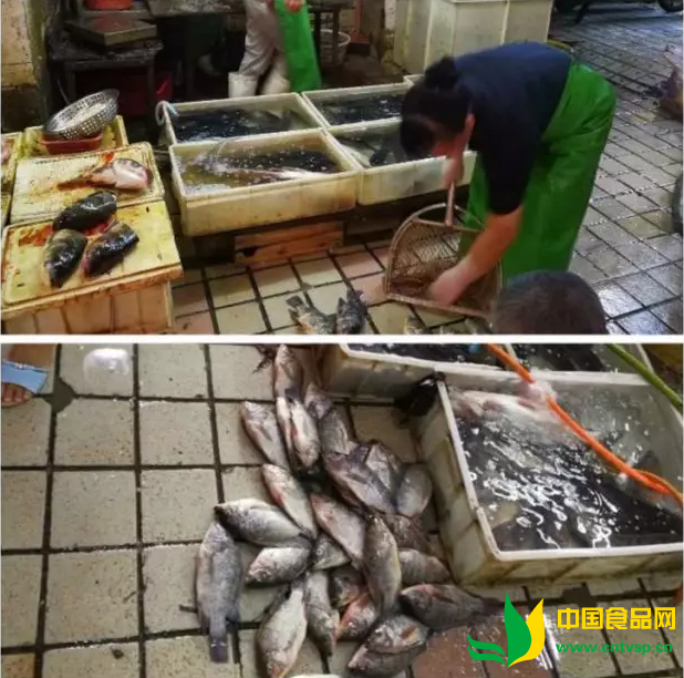龙华街道多部门联合对华富市场食品安全、市容环境开展秩序整顿工作