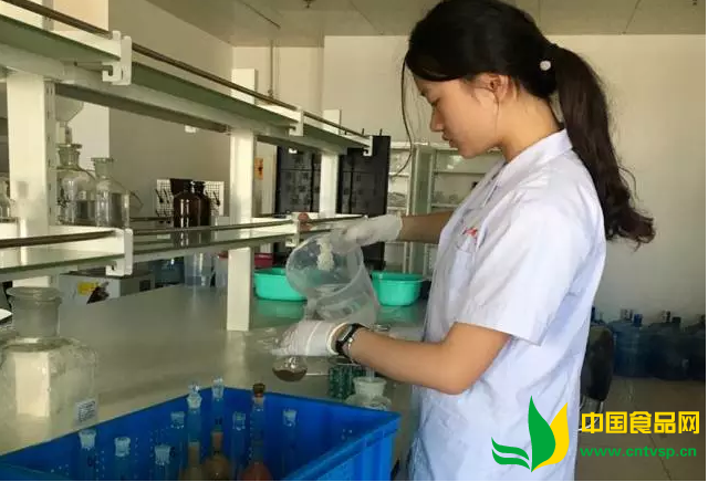 食品卫生安全监管体制, 机制与状况的调查研究社会实践